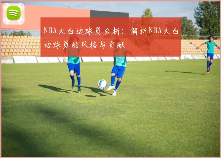NBA大白边球员分析：解析NBA大白边球员的风格与贡献
